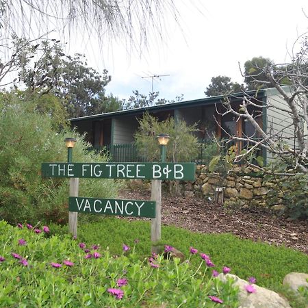 The Fig Tree B&B Baudin Beach Exterior photo