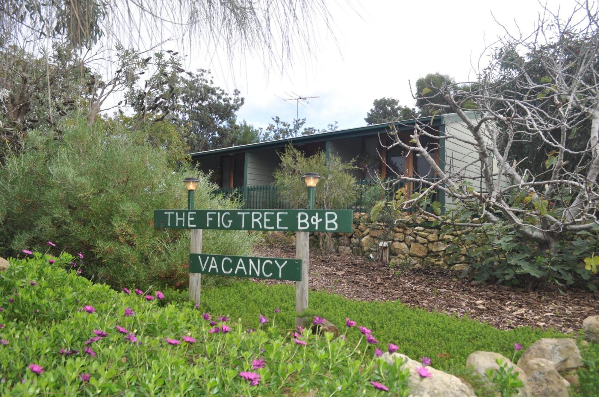 The Fig Tree B&B Baudin Beach Exterior photo